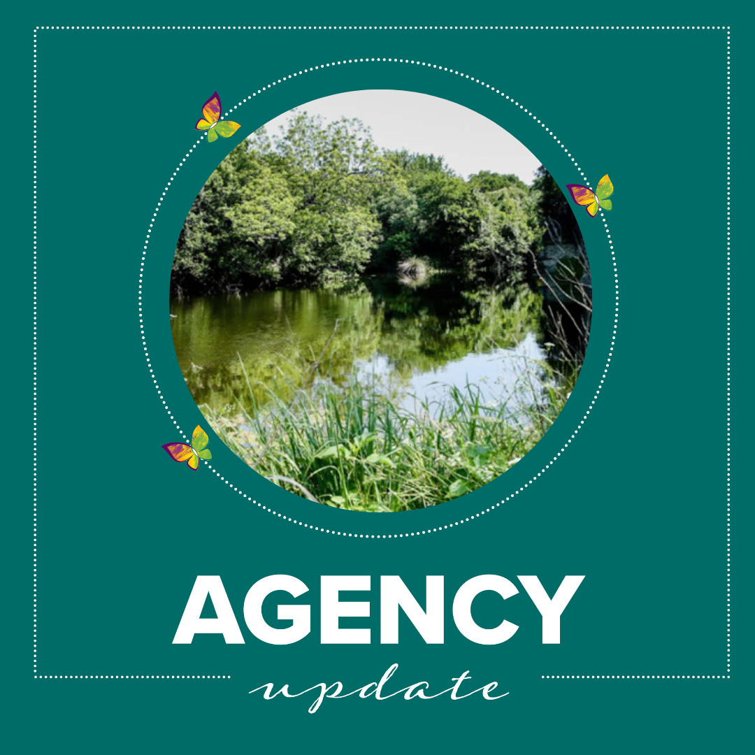 Agency%20Update%20(2).png